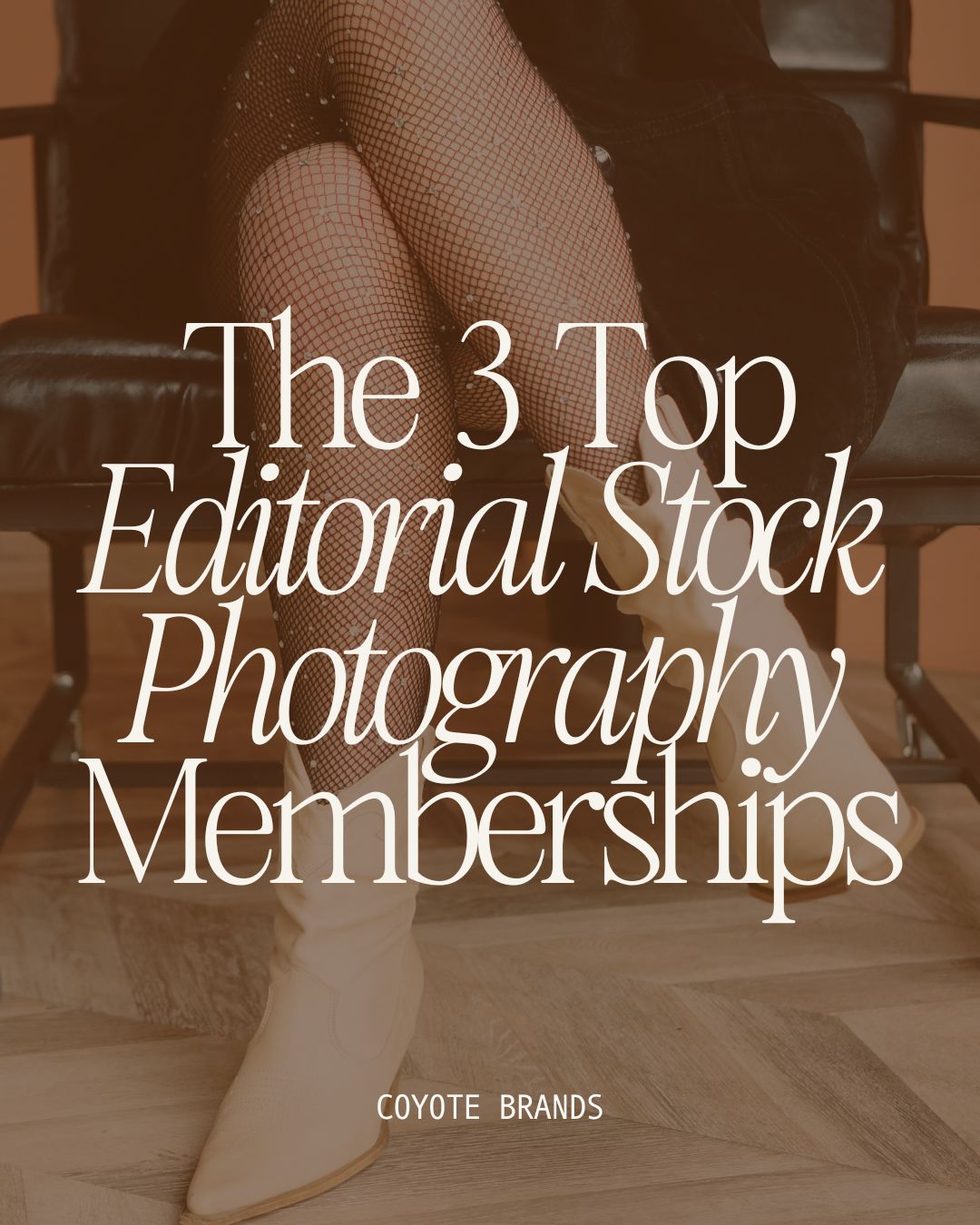 The 3 Top Editorial Stock Photography Memberships